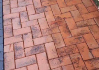 combat property maintenance facebook gallery 454