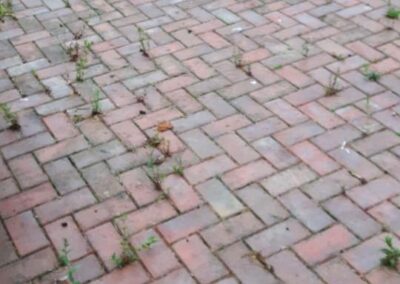 combat property maintenance facebook gallery 456