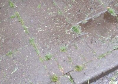 combat property maintenance facebook gallery 499